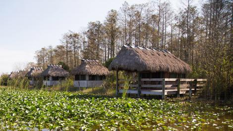 Paisaje de los Everglades amenazado por proyecto