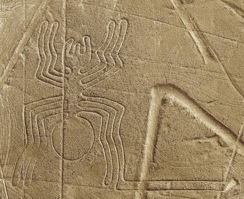 Geoglifo de la araña en las Líneas de Nasca