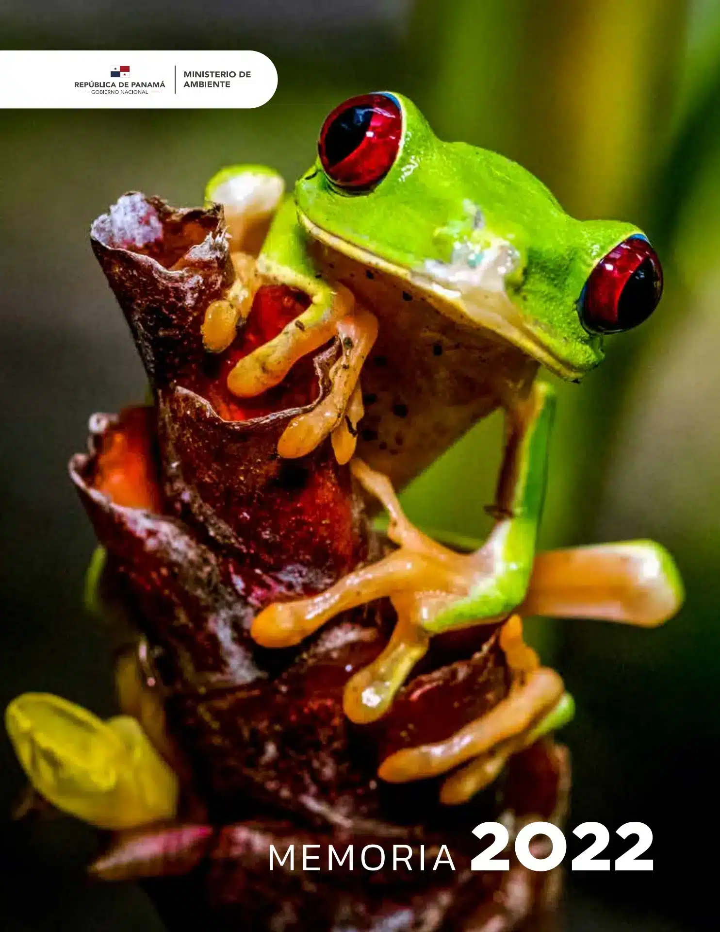 Fauna silvestre afectada por delitos ambientales