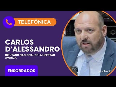 Carlos D'Alessandro en entrevista telef&oacute;nica