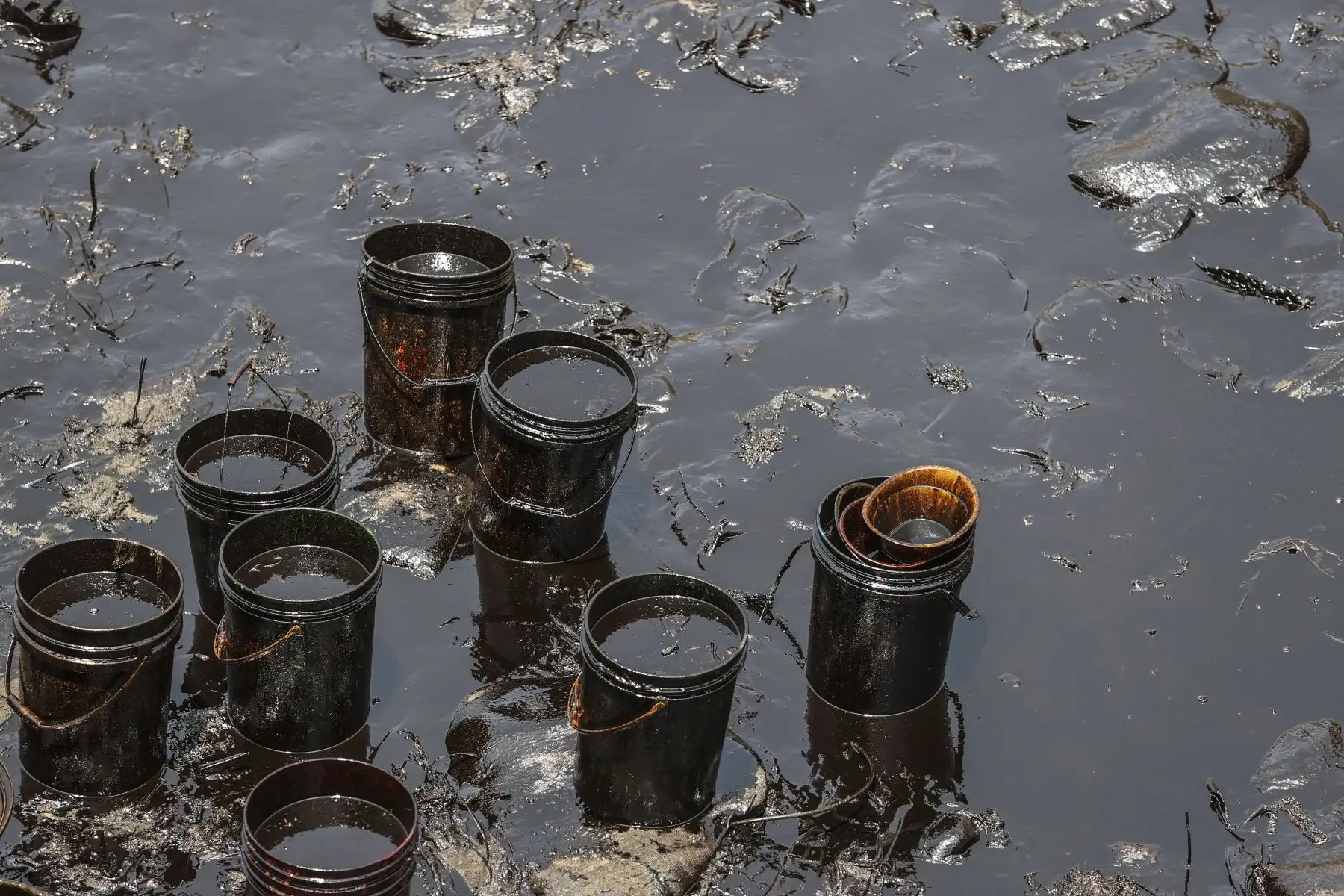 Entorno contaminado por derrame de petr&oacute;leo