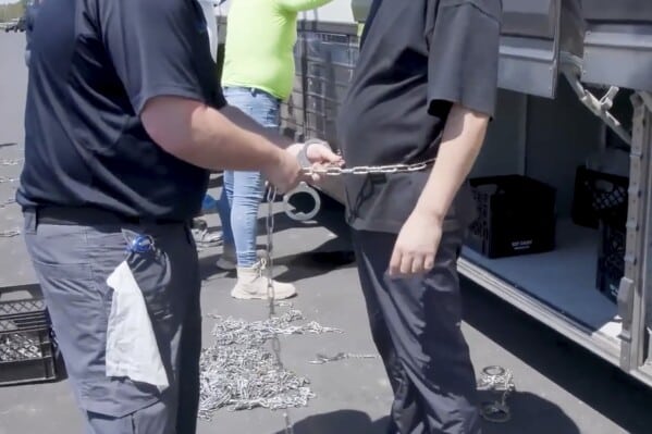 Trabajadores manipulando cadenas en entorno laboral