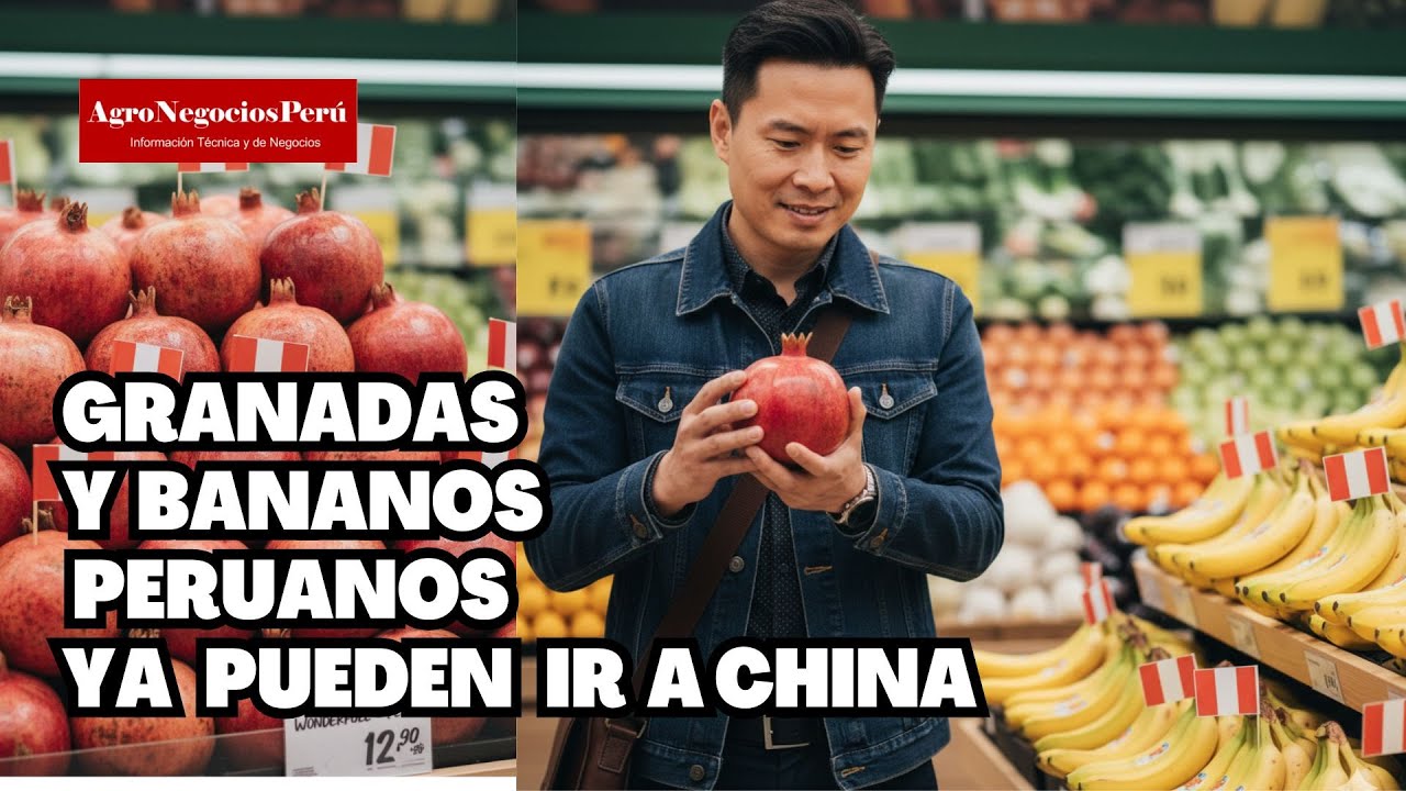Hombre en supermercado observando granadas y bananos peruanos