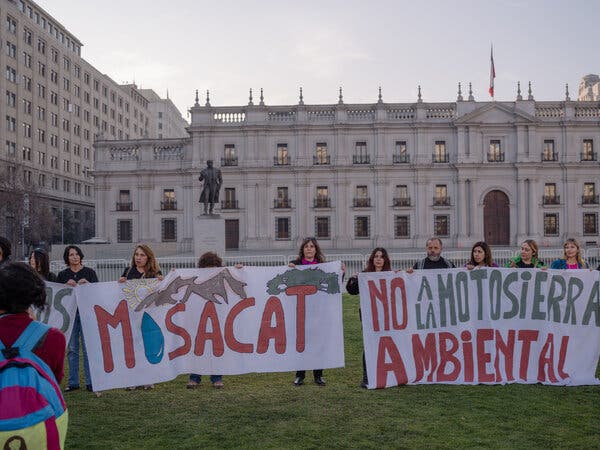Grupo de personas protestando con pancartas sobre da&ntilde;o ambiental frente a un edificio gubernamental