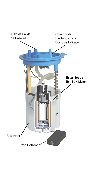 Diagrama de una bomba de gasolina mostrando sus componentes