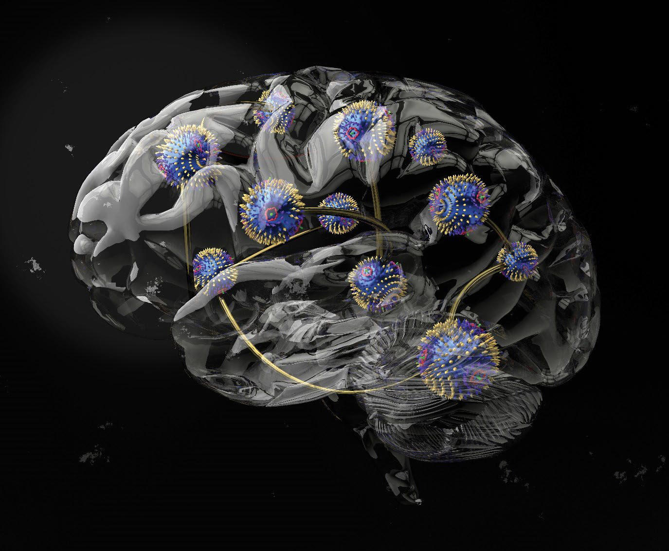 Representaci&oacute;n art&iacute;stica de un cerebro y conexiones neuronales, simbolizando la eficiencia biol&oacute;gica