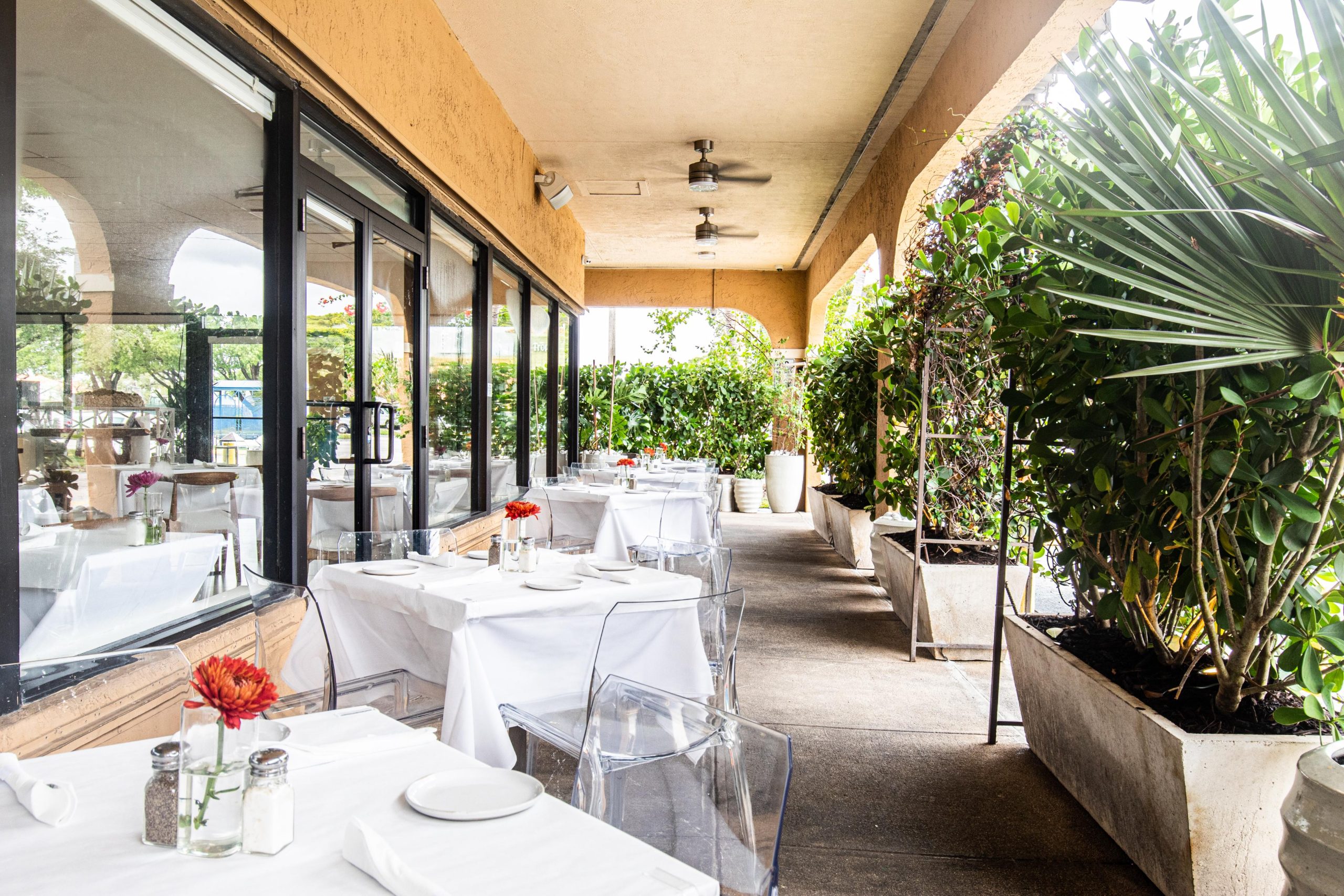 Ambiente acogedor de un restaurante familiar con mesas, sillas y plantas verdes