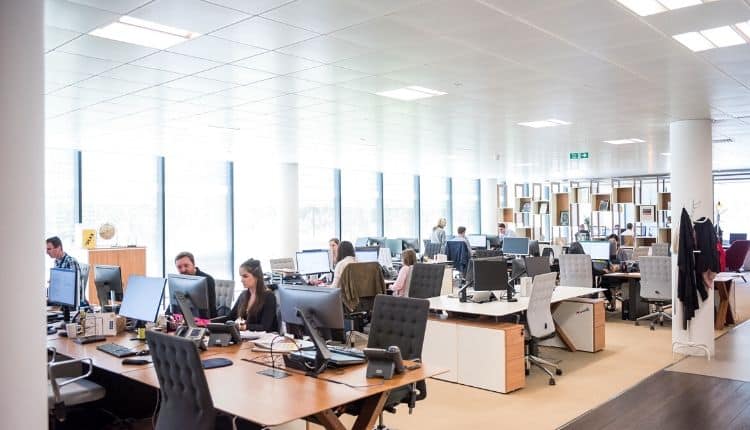 Ambiente de oficina abierto y colaborativo con empleados trabajando en computadoras