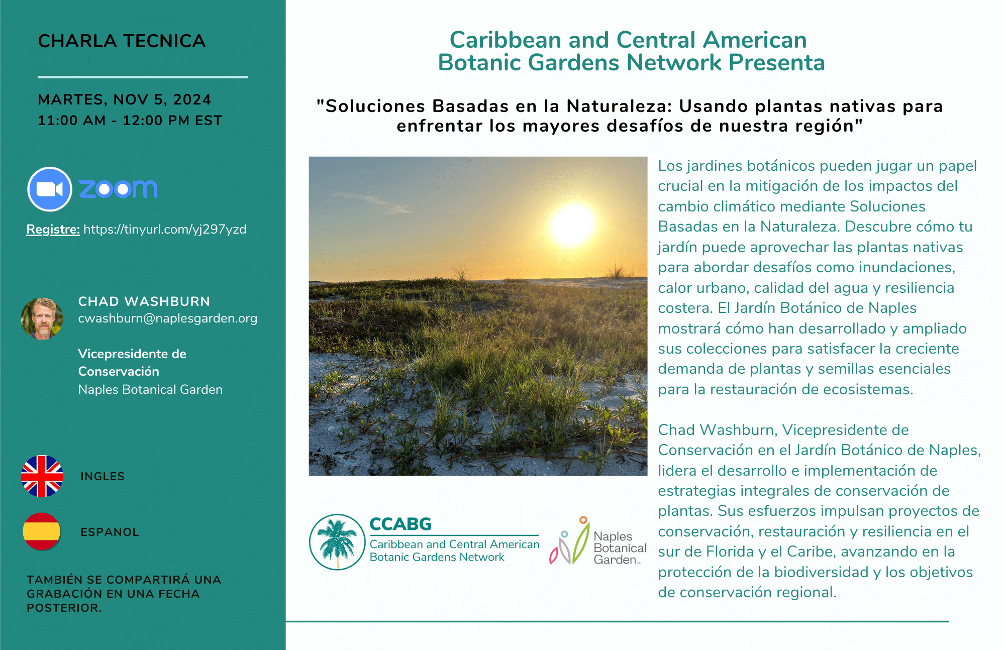 Vegetación nativa utilizada en soluciones basadas en la naturaleza para protección costera