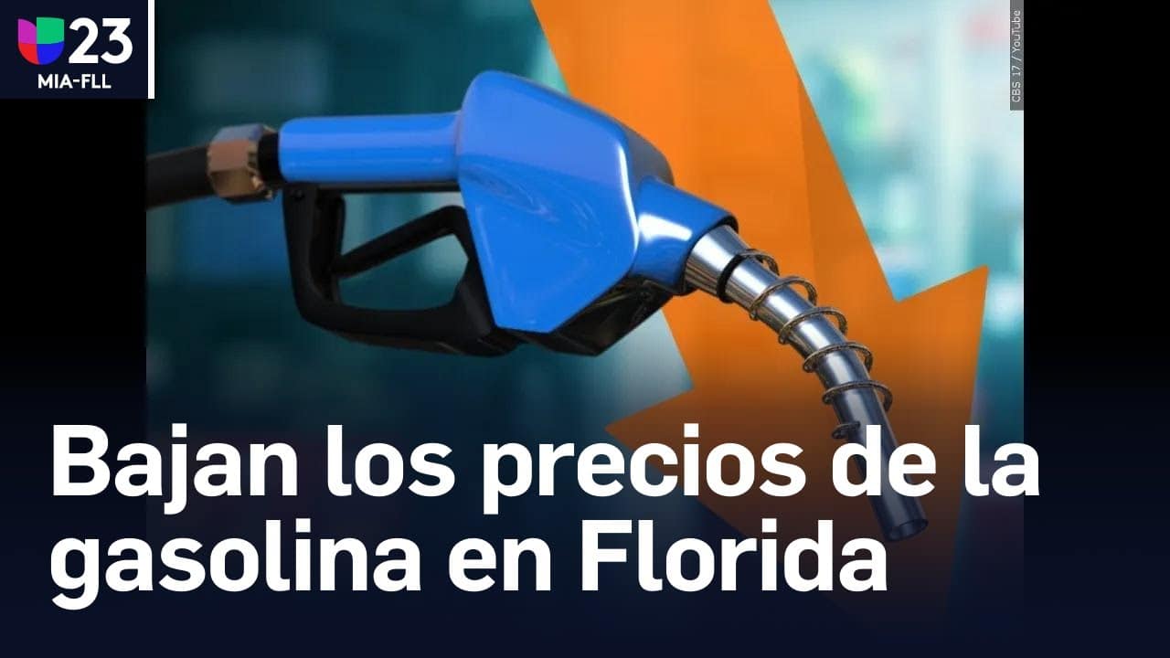 Manguera de combustible con gr&aacute;fico de precios