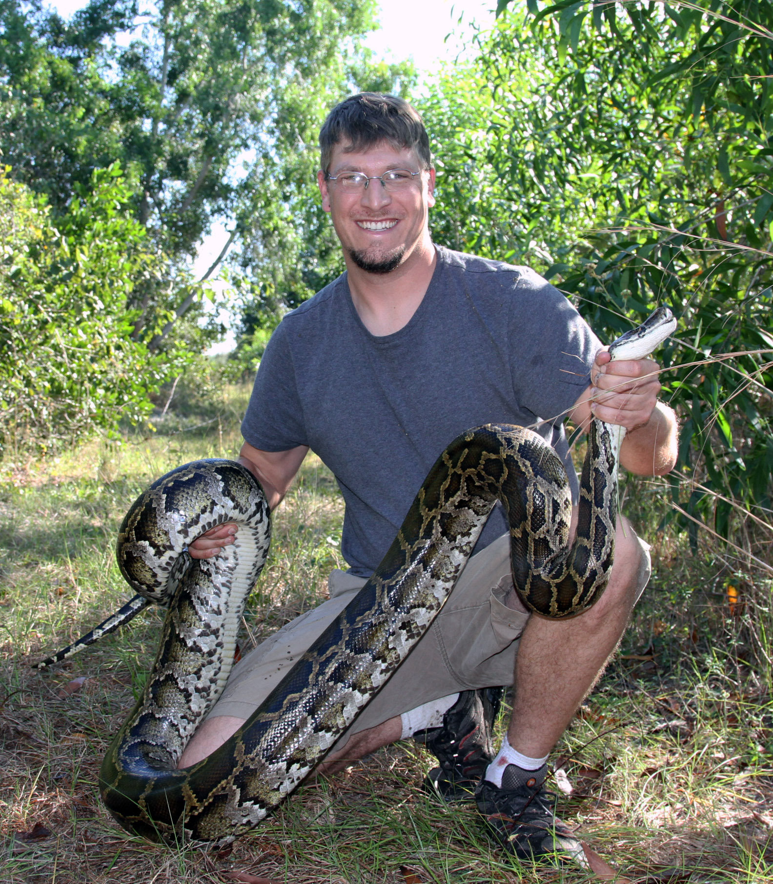 Investigador sosteniendo una pitón birmana en los Everglades