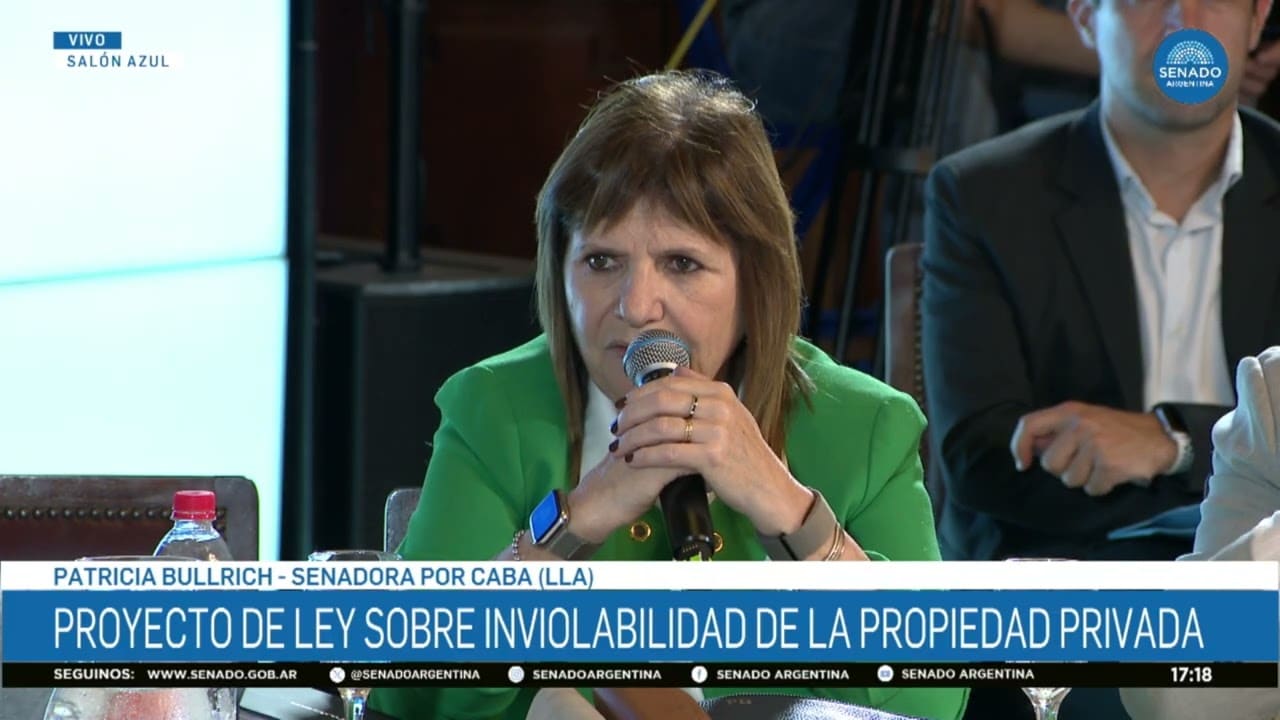 Patricia Bullrich durante una sesión en el Senado por el proyecto de Ley de Propiedad Privada