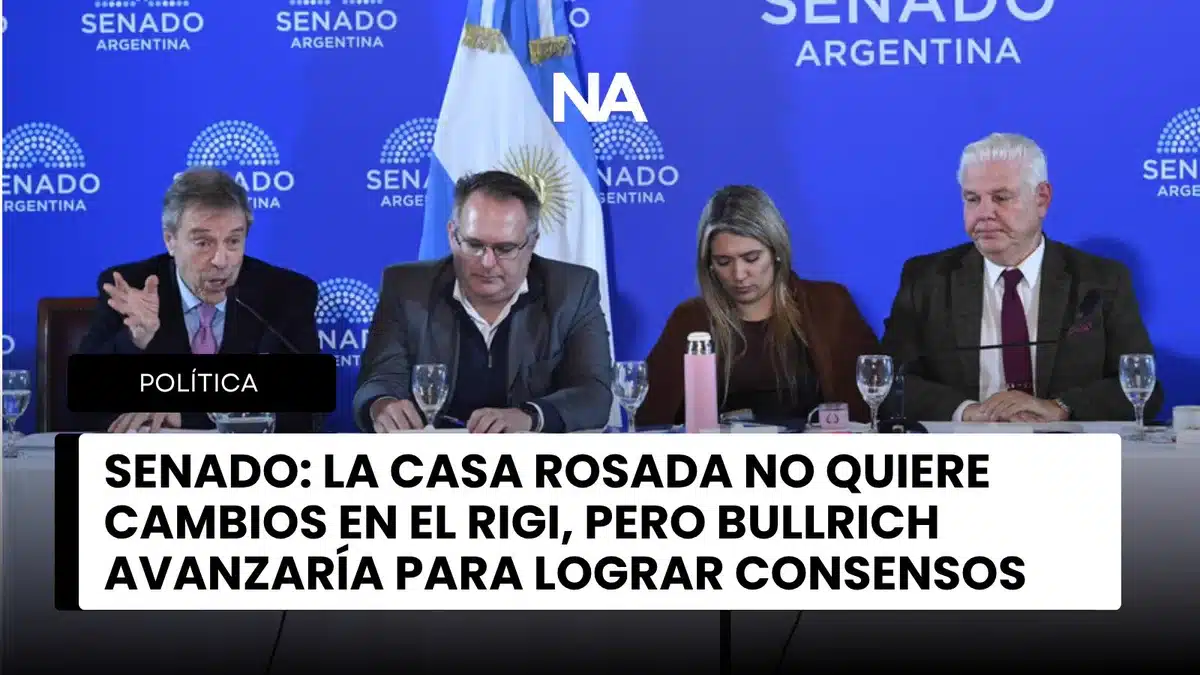 Reunión en el Senado de Argentina por la negociación del RIGI