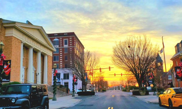 South Carolina Supreme Court grants Disciplinary Counsel’s request to place Rock Hill attorney Jane Randall on interim suspension