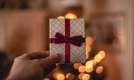 West Virginia Supreme Court admonishes attorney Wells Dillon over improper gift deal in Slow Down program