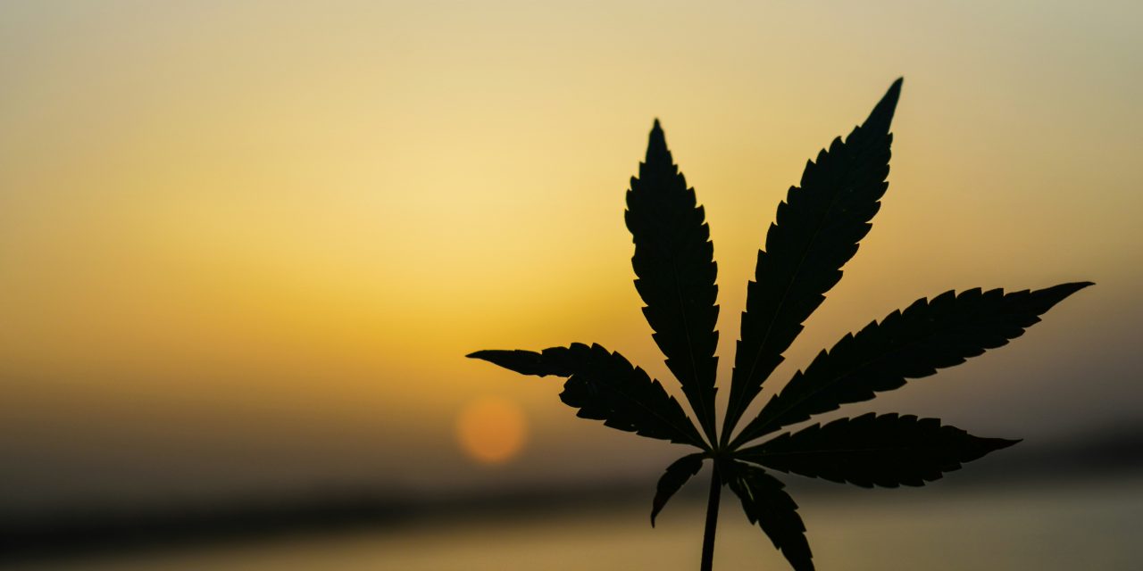Warren County DA Rob Greene Resigns Over Pennsylvania’s Recreational Marijuana Ban