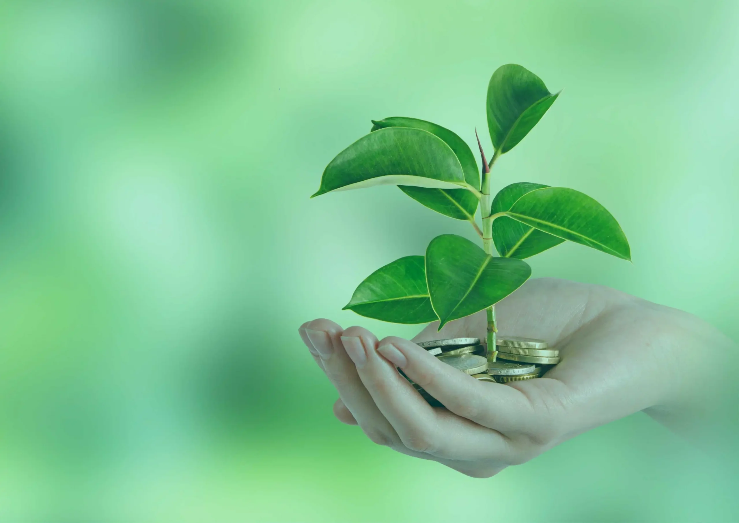 investasi hijau