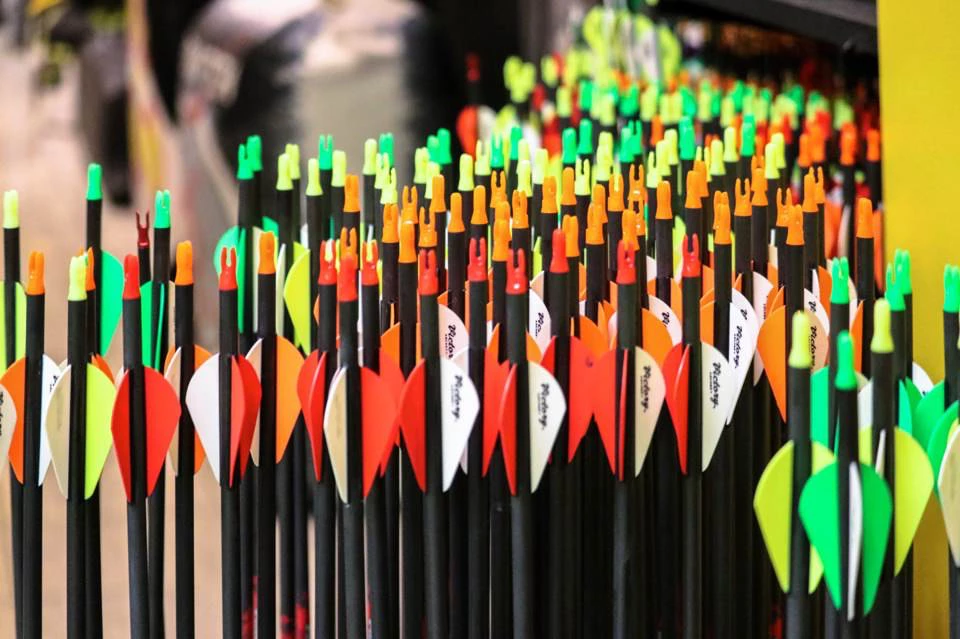 Archery instruction session