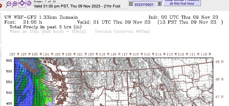 A screenshot of the 13 PST precipitation view on Vancouver Island and the Pacific Northwest. This is the UWash weather model.  There is a large band of green and blue precipitation just starting to impact the West Coast coast.