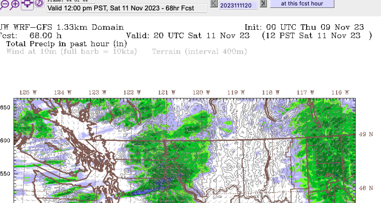 A screenshot of the 12 PST precipitation view on Vancouver Island and the Pacific Northwest. This is the UWash weather model.  There are scattered areas of green showing precipitation all over the area but most places other than Eastern Washington state and the coastal mountain ranges are dry.