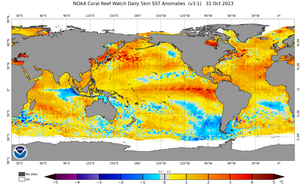 A an image of the world's oceans and sea surface temperature anomalies from October 31, 2023