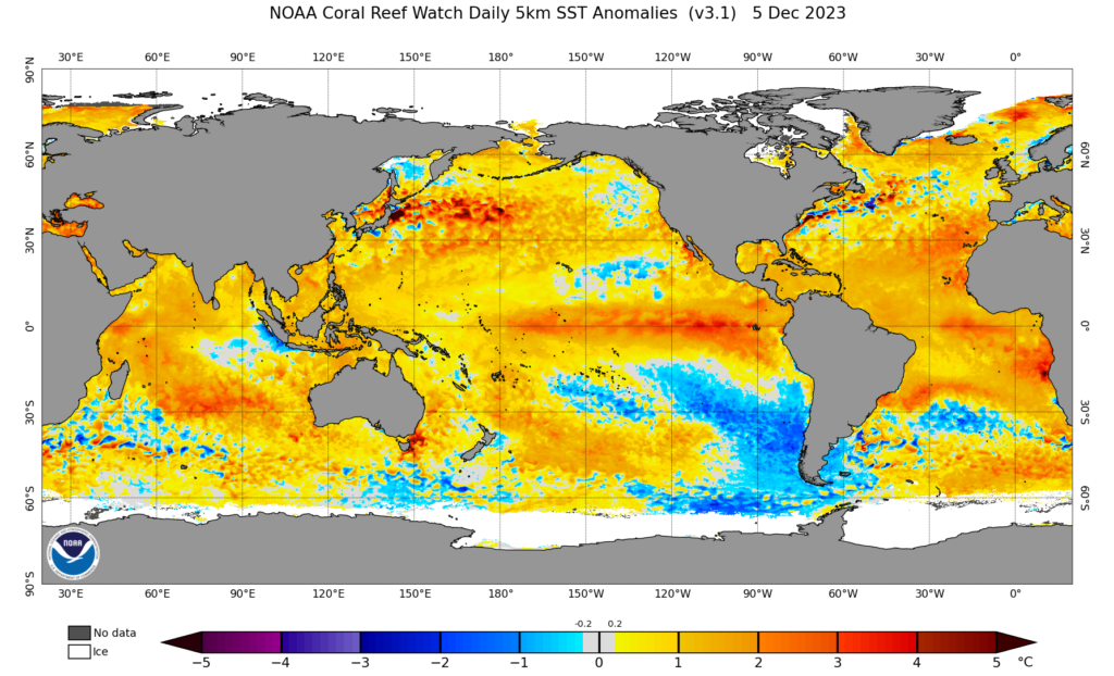 A an image of the world's oceans and sea surface temperature anomalies from December 5, 2023