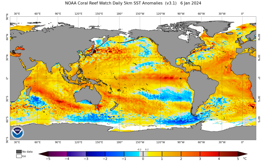 A an image of the world's oceans and sea surface temperature anomalies from January 6, 2024