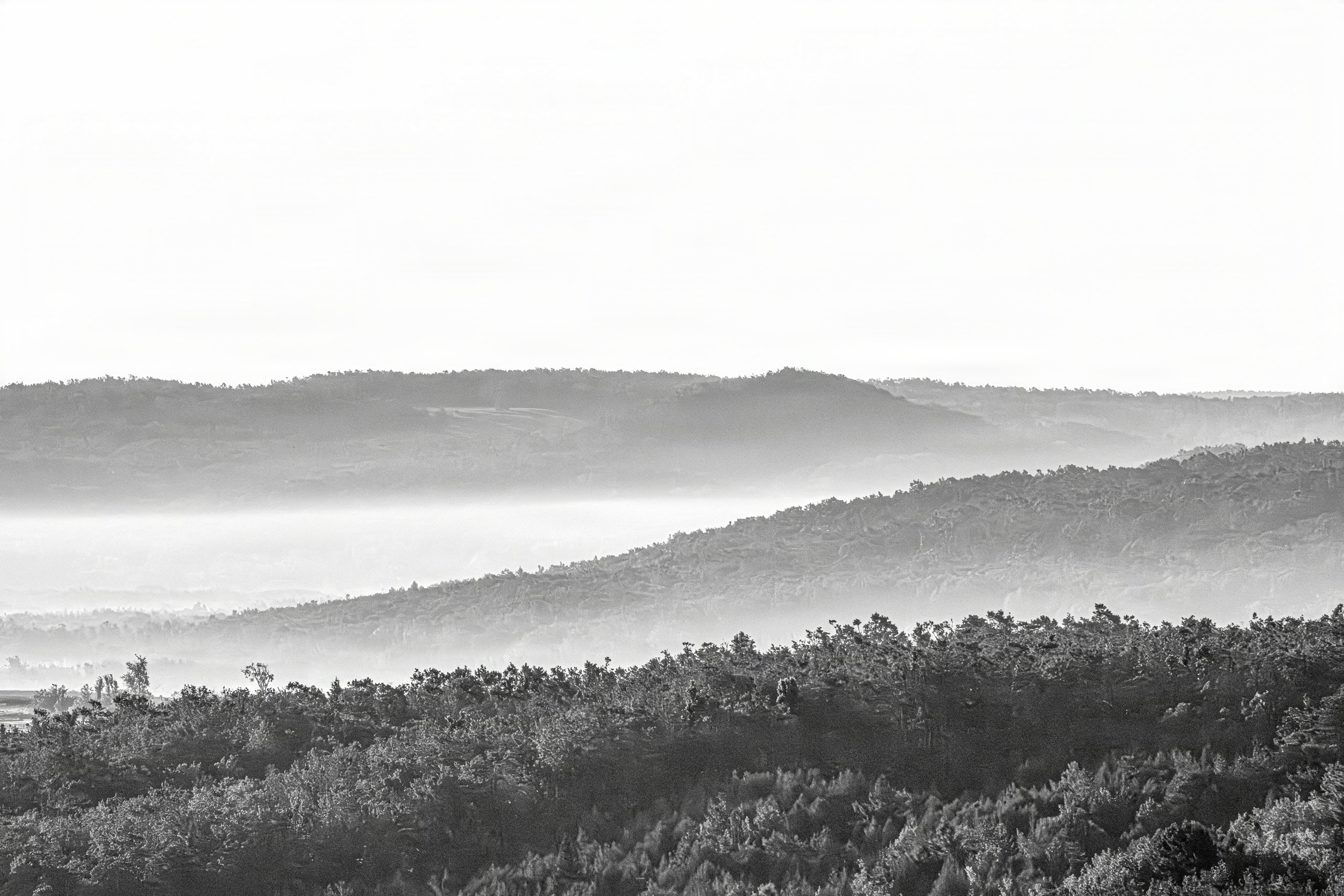 Black and white aerial photograph of forested ridgelines receding into morning fog