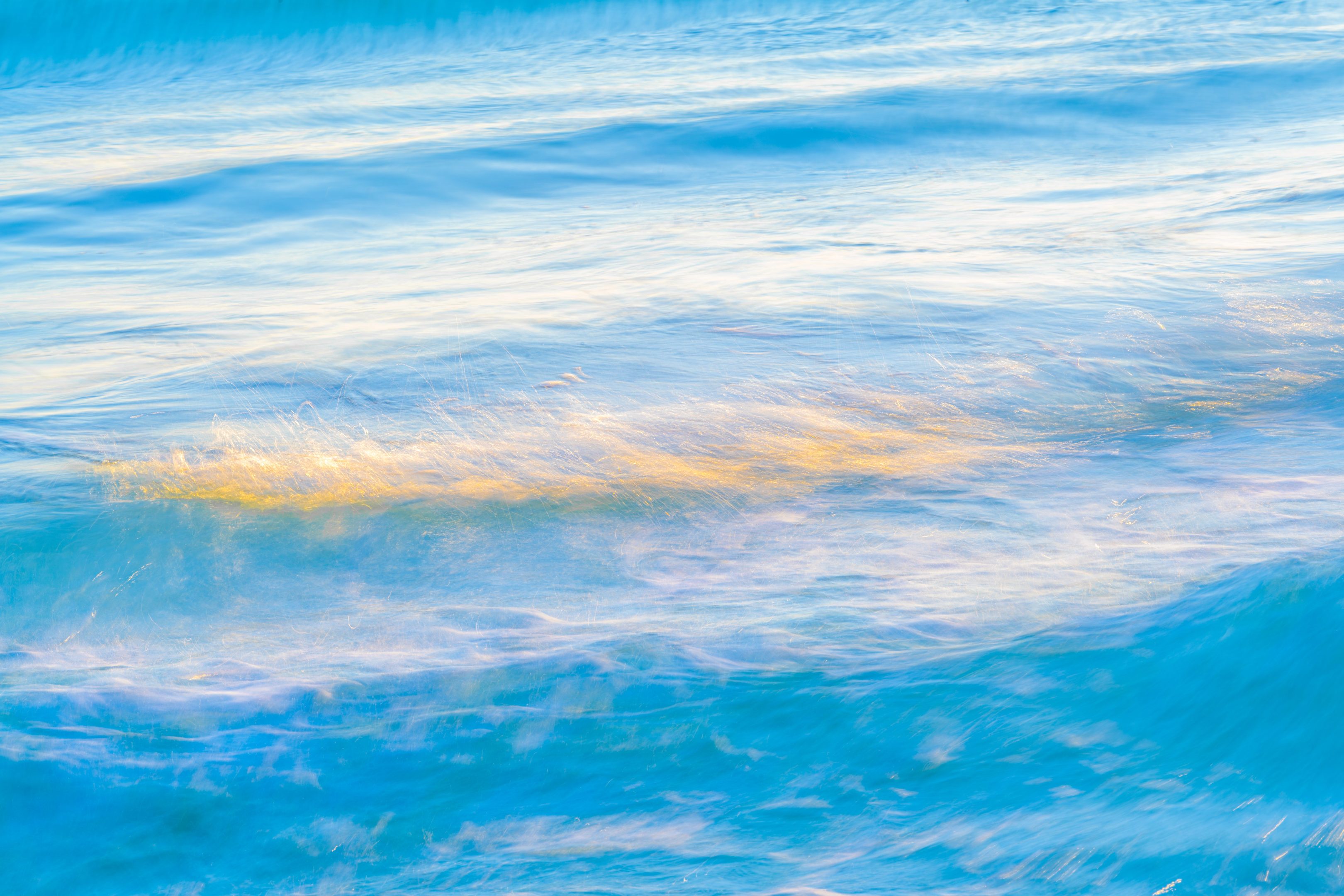 Sunlit Symphony — fine art photography on aluminum