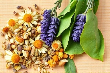 Dried chamomile, lavender, and lemon balm herbs for tea