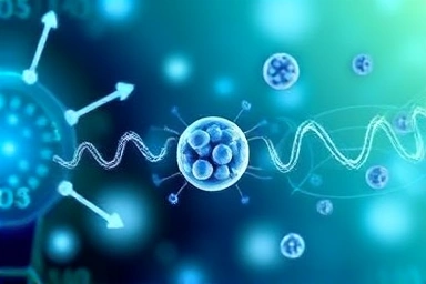 Metabolic transformation and energy flow visualization