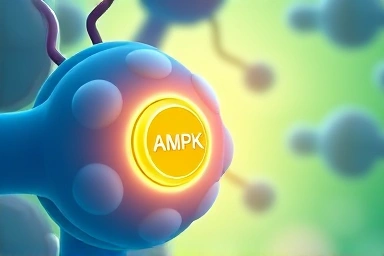AMPK switch activating fat breakdown cellular illustration