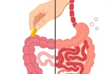 Healthy gut vs. temporary discomfort from probiotics