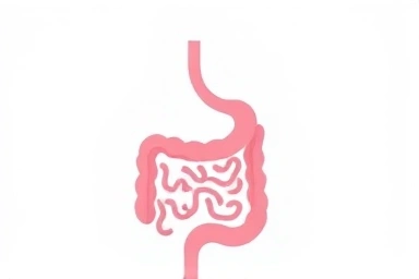 Gut-skin axis connecting healthy gut to clear skin.