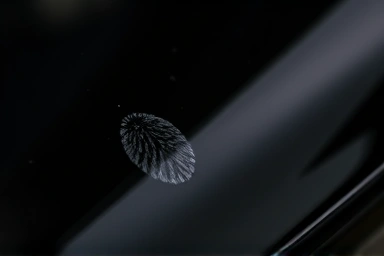 Car paint cleaner dissolving tar and bug splatter