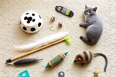 Variety of engaging cat toys for solo play.