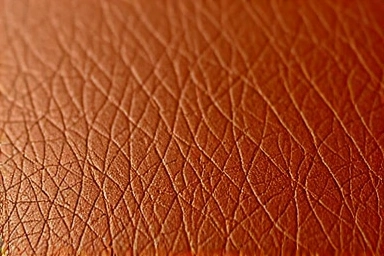 Pristine leather texture after stain removal