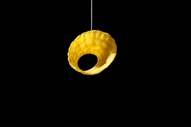 Pringles chip's unique saddle shape, mathematical precision, structural integrity.