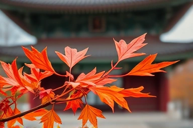 장성 백양사 아기 단풍