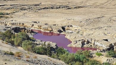 مياه حمراء مجهولة المصدر تتسرب إلى البحر الميت