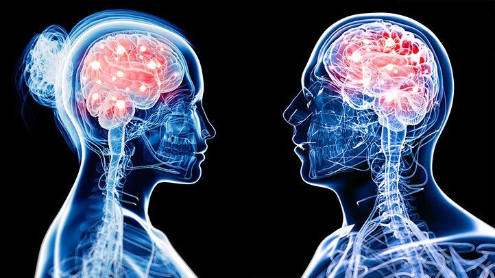 دماغ الرجل والمرأة مختلفان