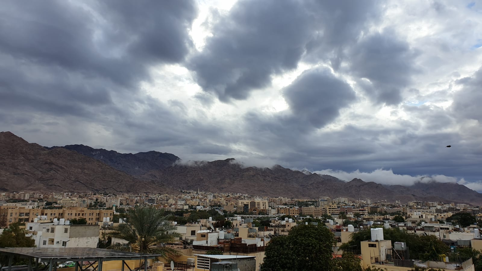 أمطار في العقبة