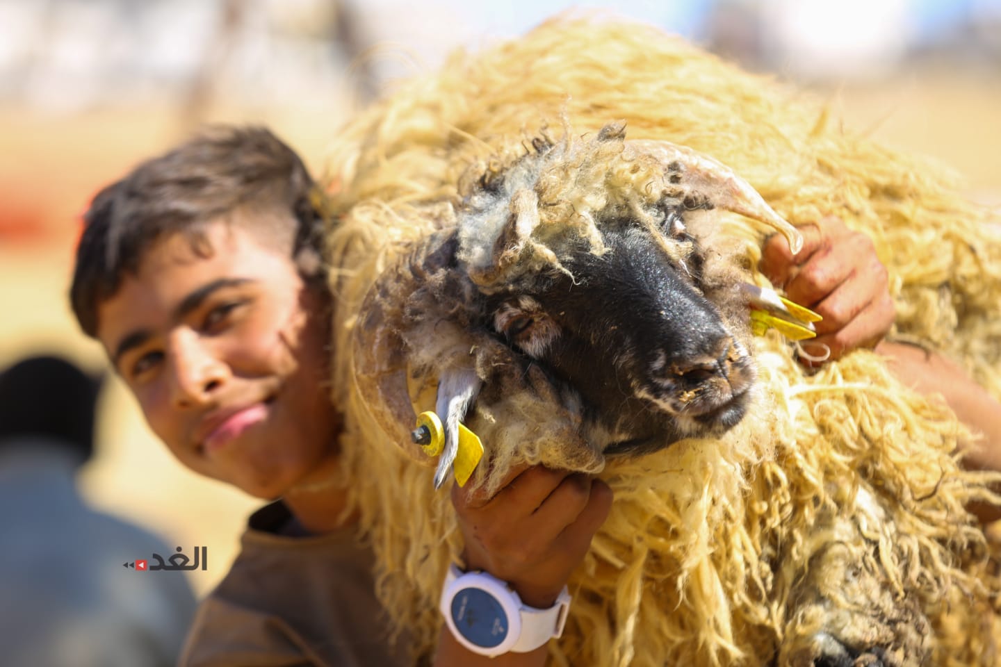 إقبال ضعيف على شراء الأضاحي في أول أيام العيد