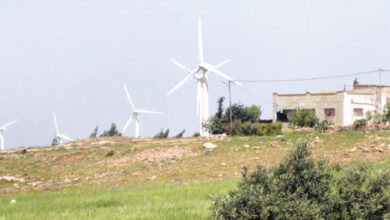 مراوح الطاقة المتجددة في منطقة حوفا - إربد - (تصوير: ساهر قدارة)