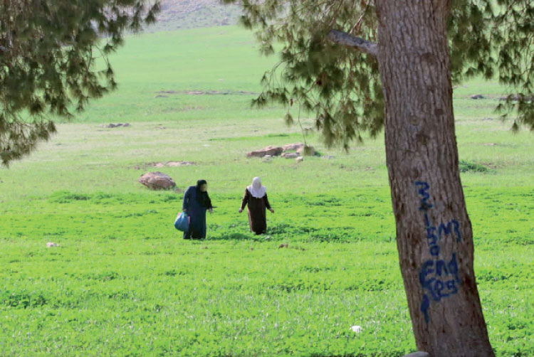 تصوير: ساهر قداره