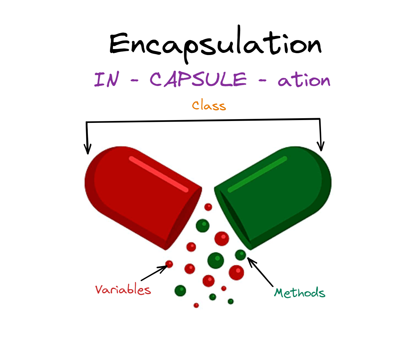 Algodaily Understanding Encapsulation In Programming 0335