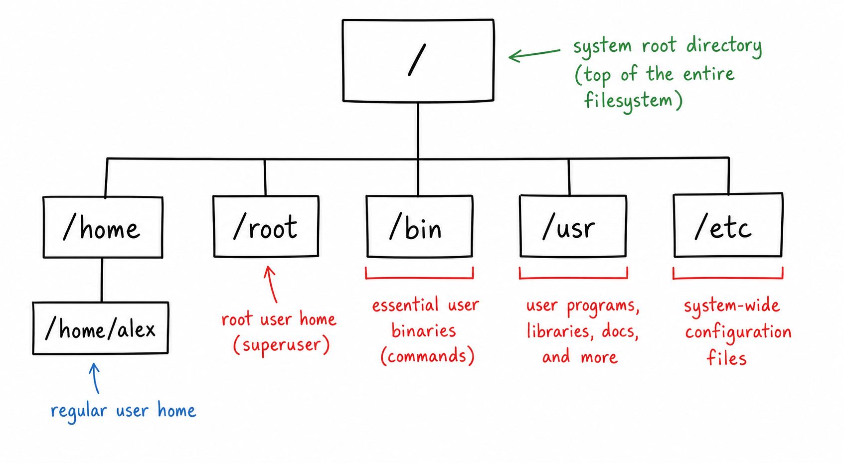 Root vs Root User