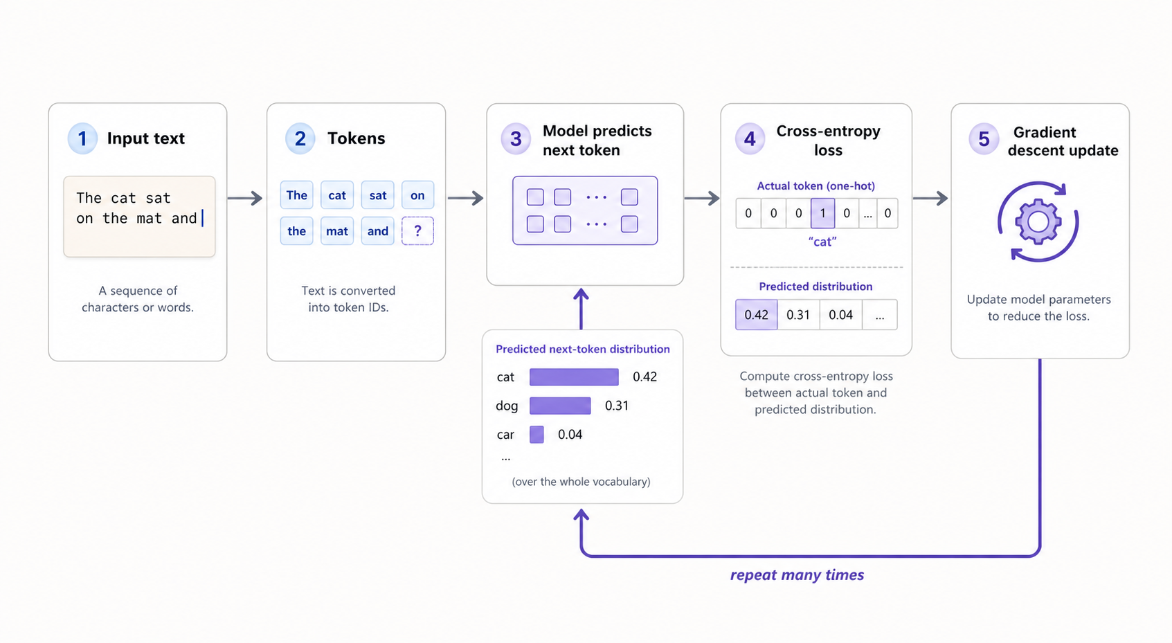 Next-Token Training Loop