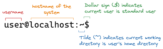 algodaily-linux-bash-commands-cheat-sheet-part-2-introduction