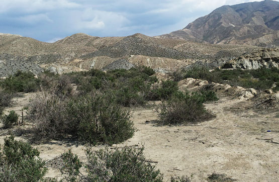 4724m² Others on ind. park 24, Gádor, Almería